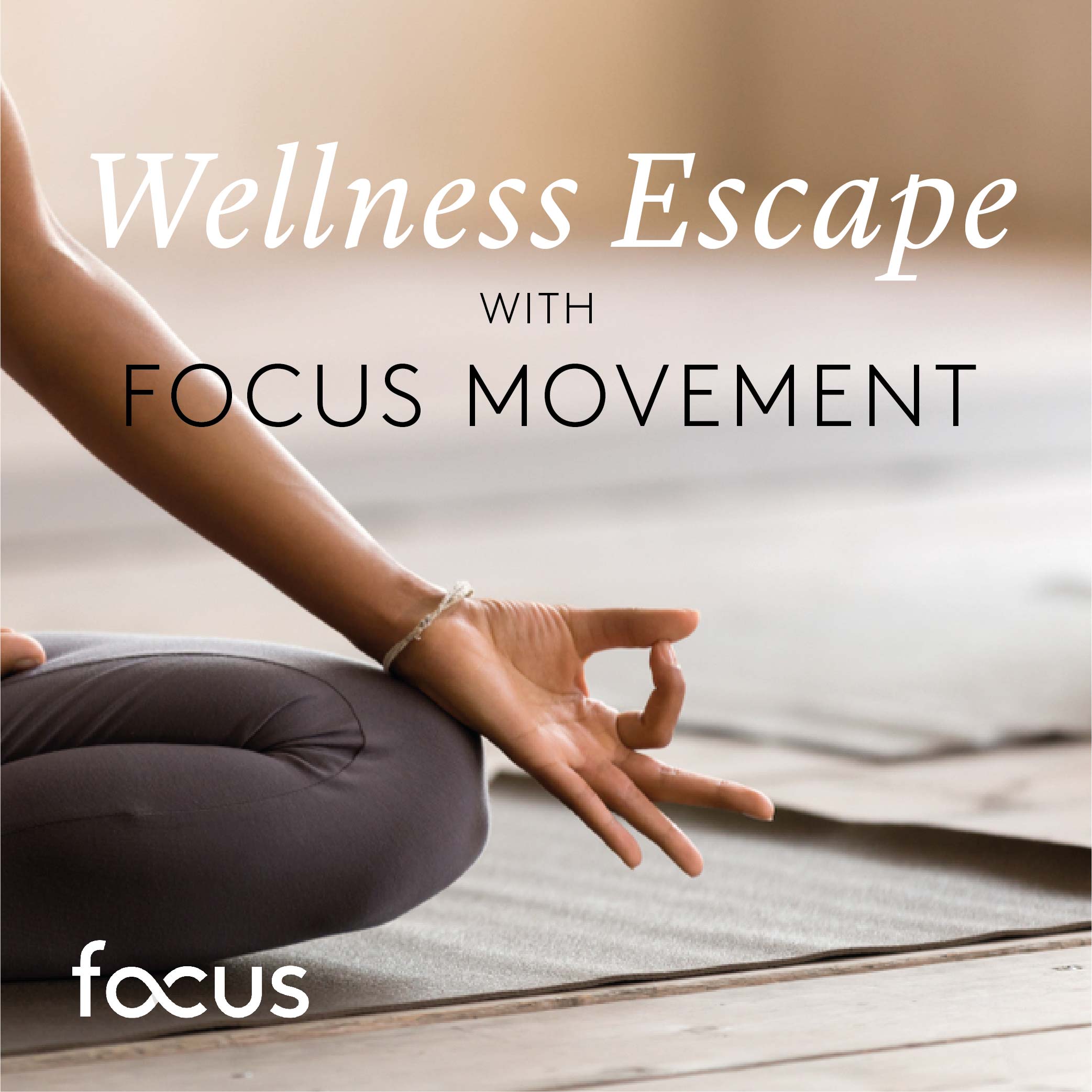 Wellness Escape - Focus Movement WEBSITE