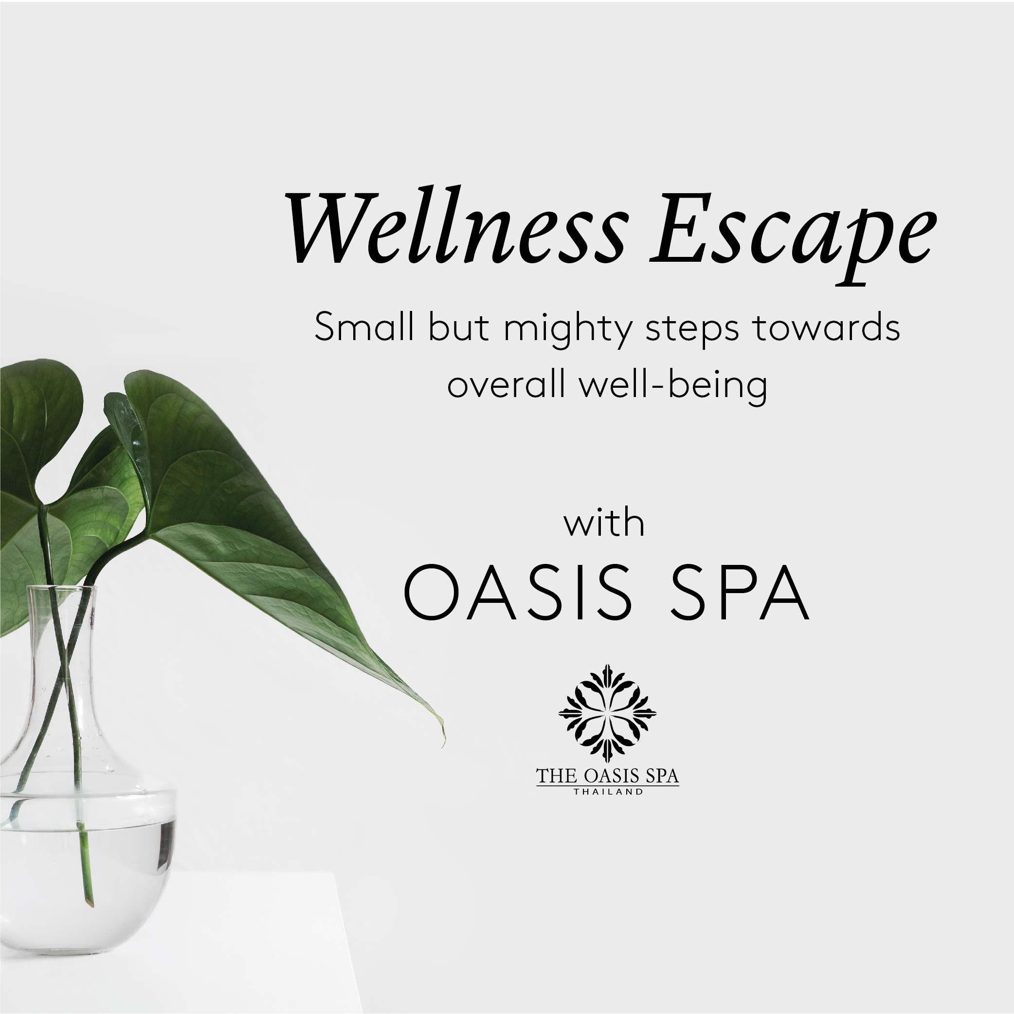 Wellness Escape - Oasis-03