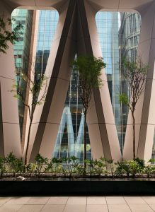 Afro-Asia Sky Garden